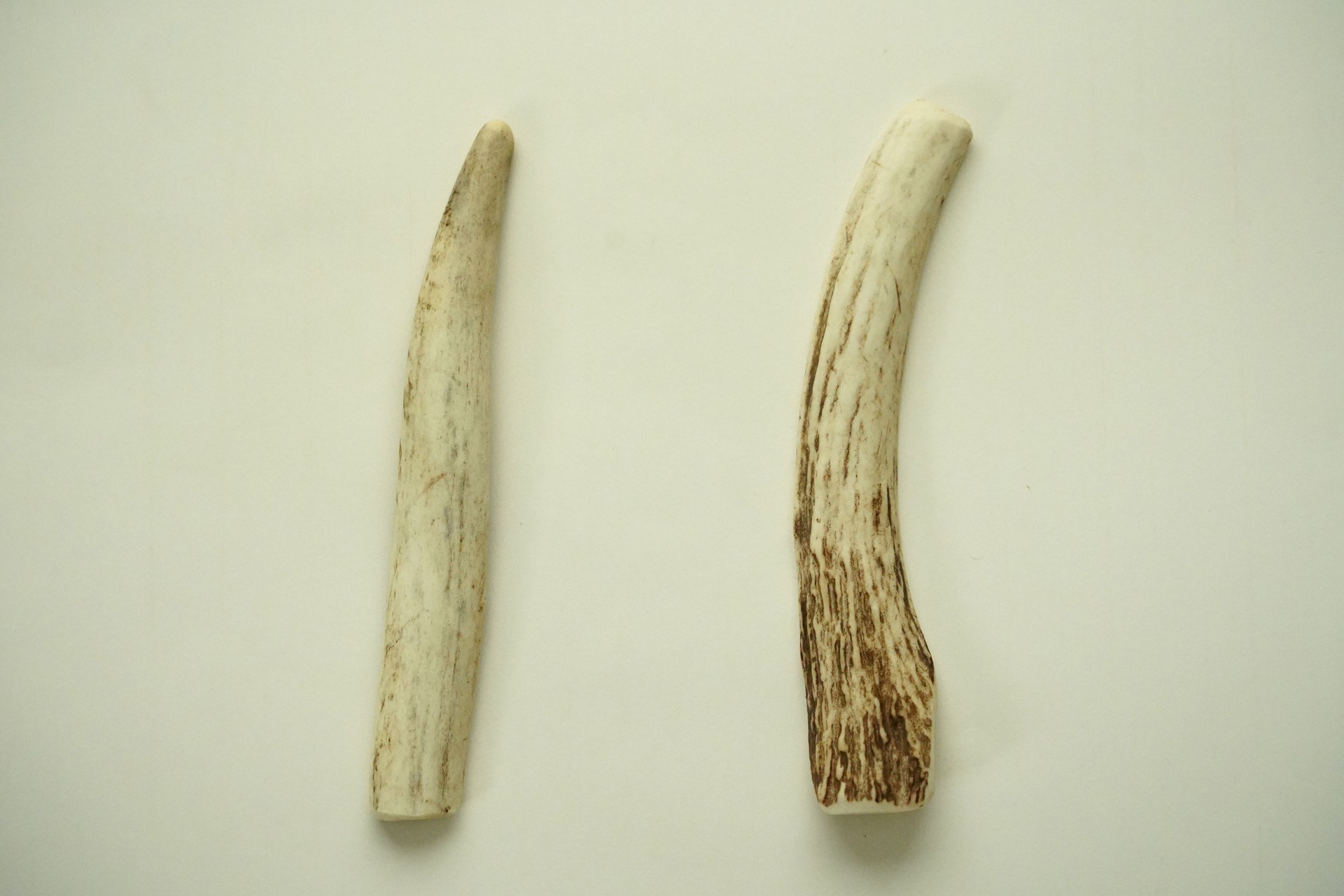 Deer Antler Dog Toy